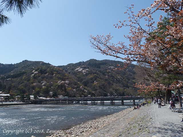 saga_arashiyama21.jpg