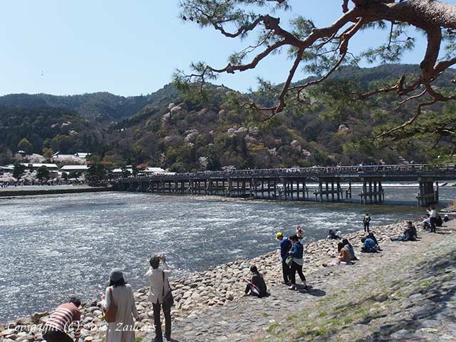 saga_arashiyama21.jpg