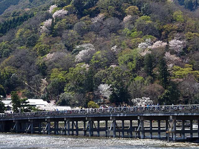 saga_arashiyama21.jpg