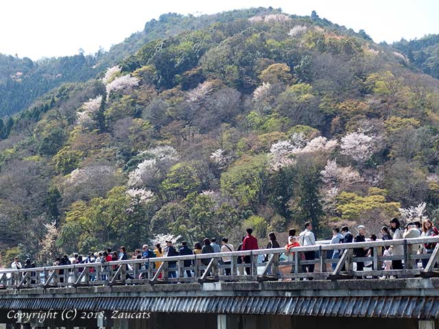 saga_arashiyama21.jpg