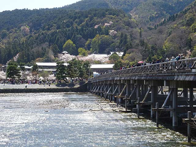 saga_arashiyama21.jpg