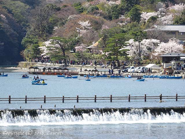 saga_arashiyama21.jpg