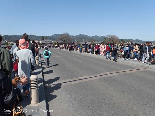 saga_arashiyama21.jpg