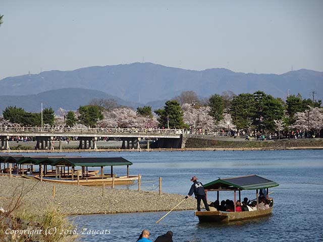 saga_arashiyama21.jpg