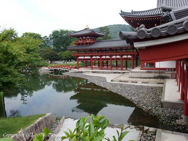 byodoin31.jpg