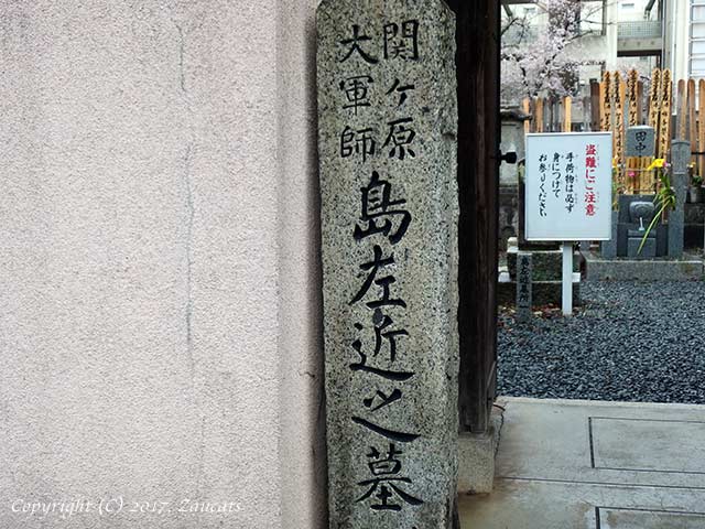 shima_sakon11.jpg