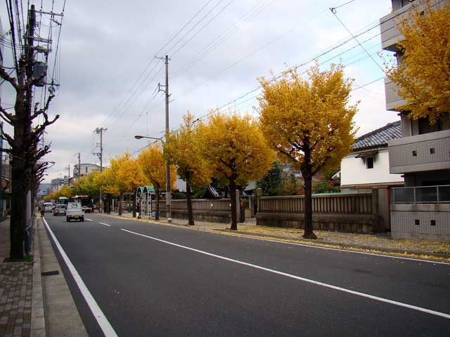 shinsenen.jpg