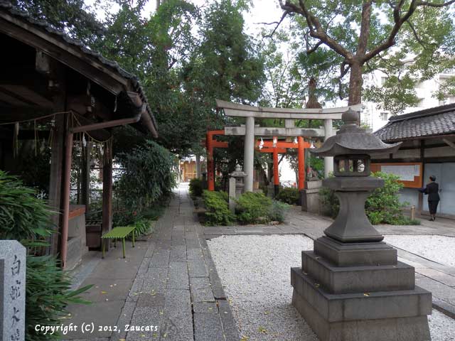 takenobuinari.jpg