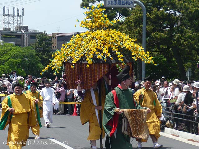 aoi_matsuri11.jpg