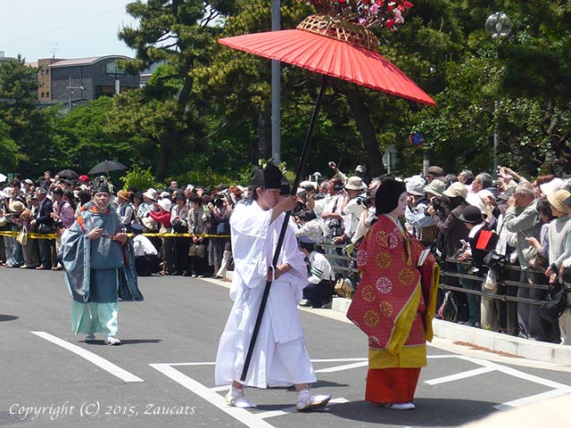 aoi_matsuri11.jpg