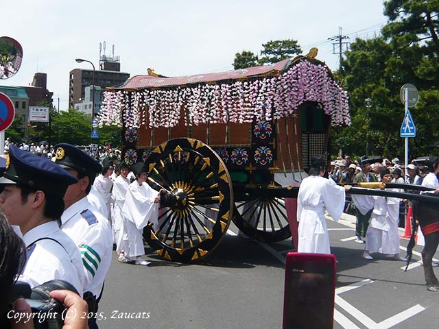 aoi_matsuri11.jpg