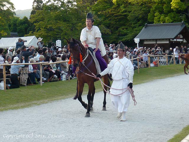 aoi_matsuri21.jpg