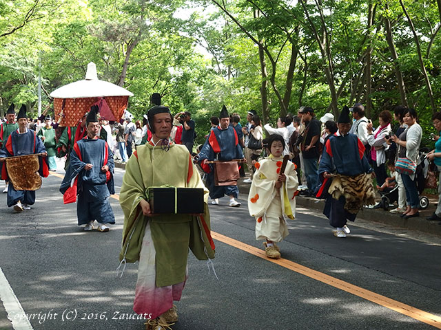 aoi_matsuri31.jpg