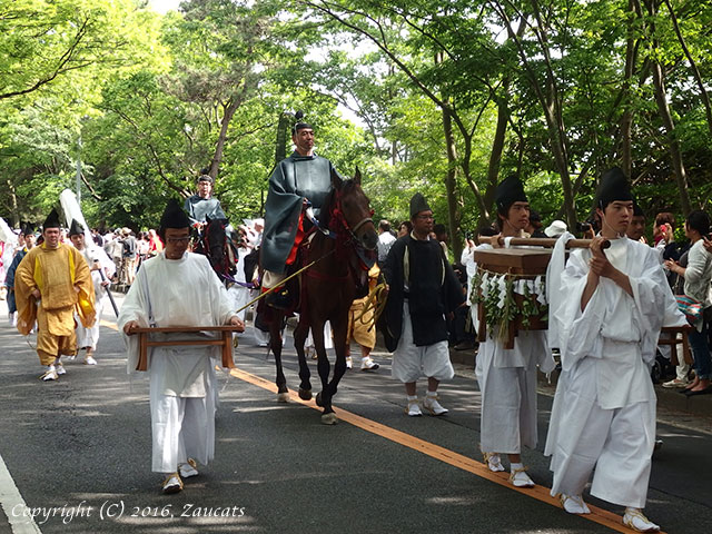 aoi_matsuri31.jpg