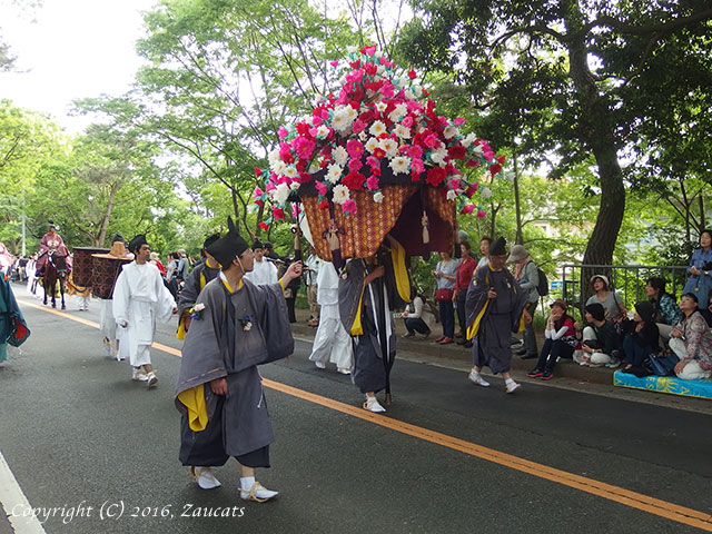 aoi_matsuri31.jpg