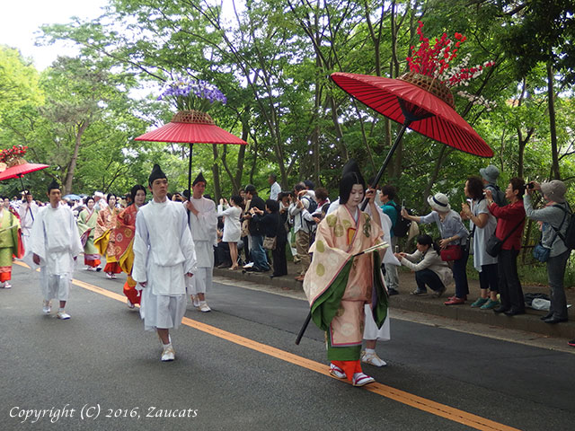 aoi_matsuri31.jpg