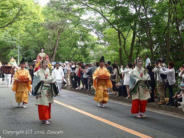 aoi_matsuri31.jpg