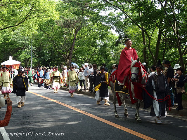 aoi_matsuri31.jpg