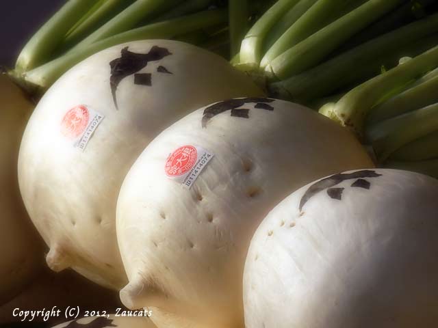 sdaikon_senbon11.jpg