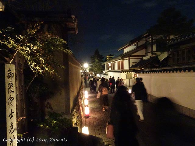 higashiyama_hanatouro11.jpg