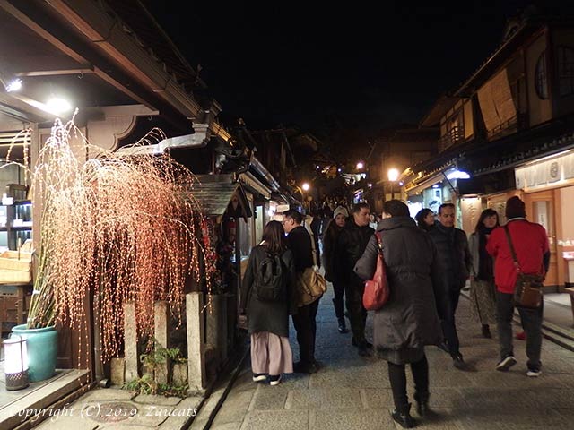 higashiyama_hanatouro11.jpg