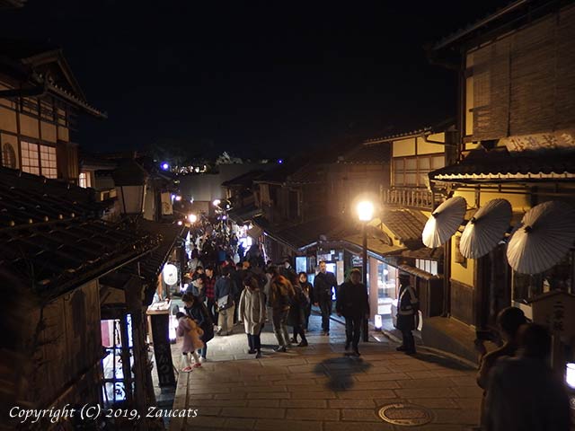 higashiyama_hanatouro11.jpg