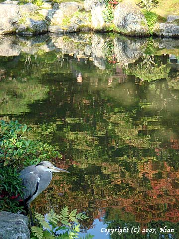 ginkaku image