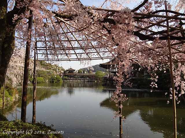 heian71.jpg