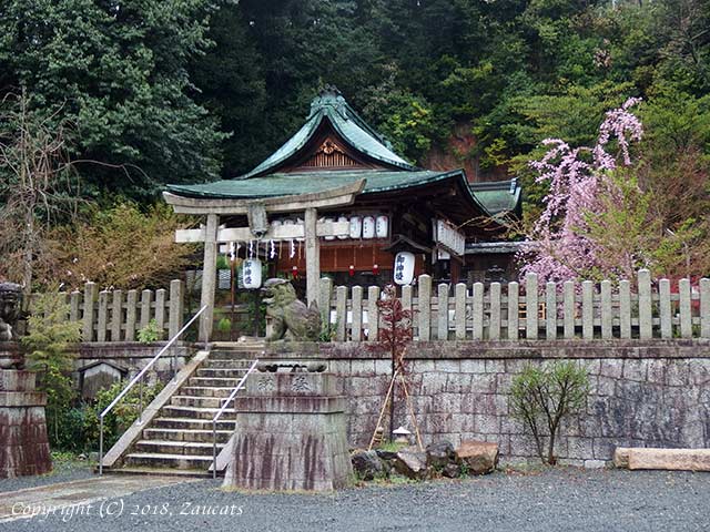 hiyoshijinja31.jpg