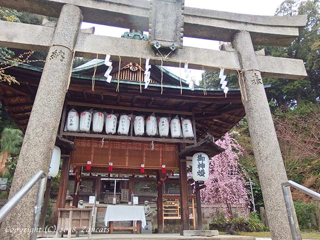 hiyoshijinja31.jpg