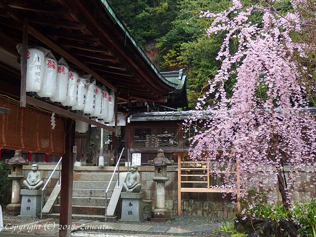 hiyoshijinja31.jpg