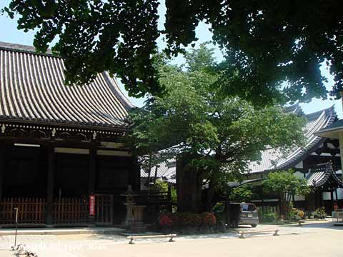 horinji