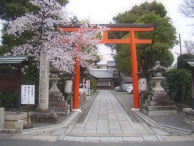 kamohanijinja11