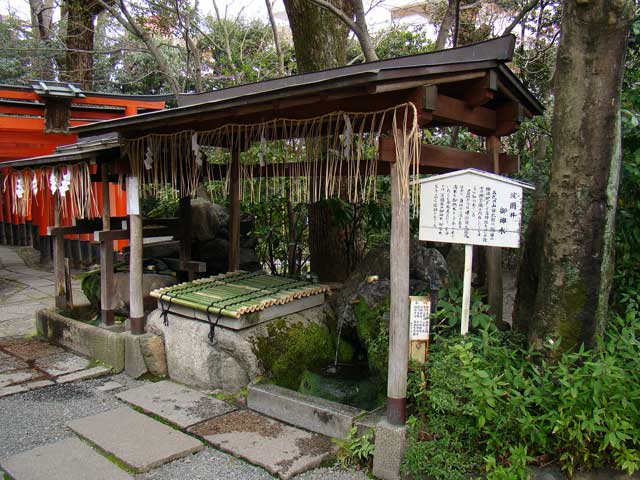 kamohanijinja11