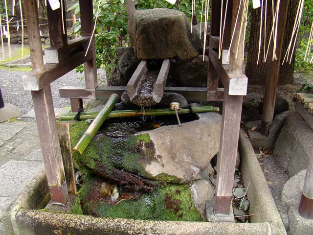 kamohanijinja11