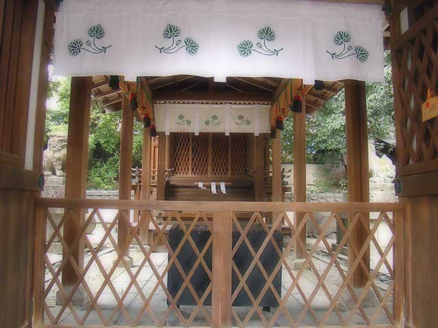 kamohanijinja11