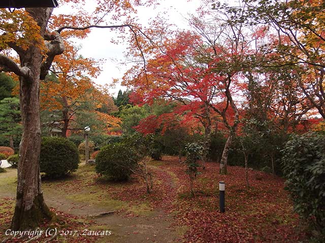 kansai_seminar11.jpg