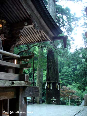 yukijinja13.jpg