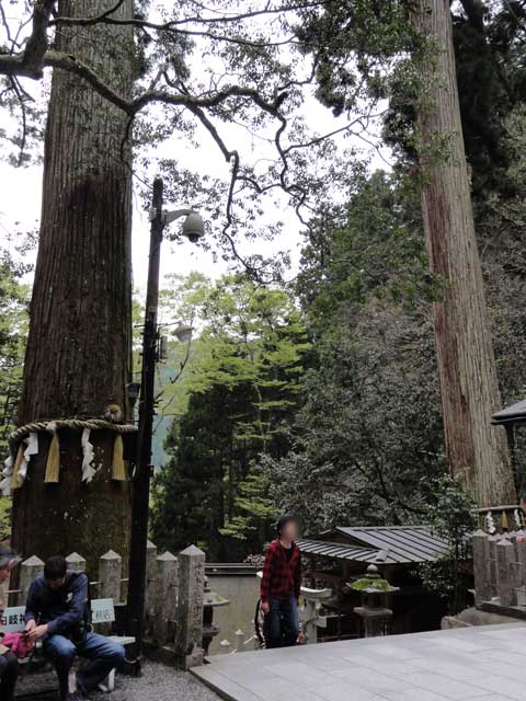 yukijinja21.jpg