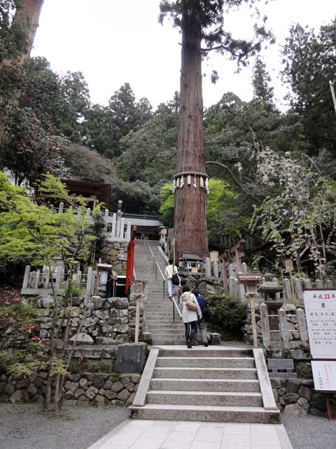 yukijinja21.jpg