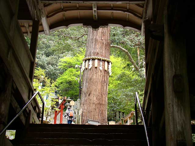 yukijinja21.jpg