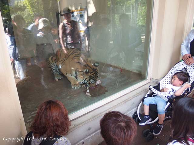 kyoto_zoo11.jpg