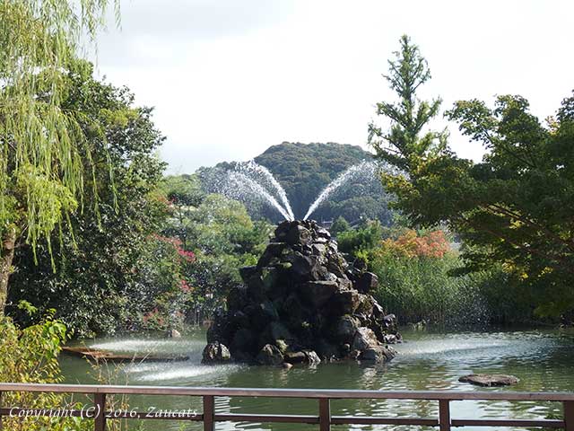 kyoto_zoo11.jpg