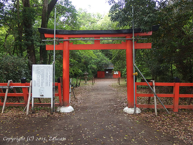 nakaragi_jinja11.jpg