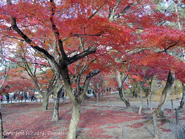 nanzenji61.jpg