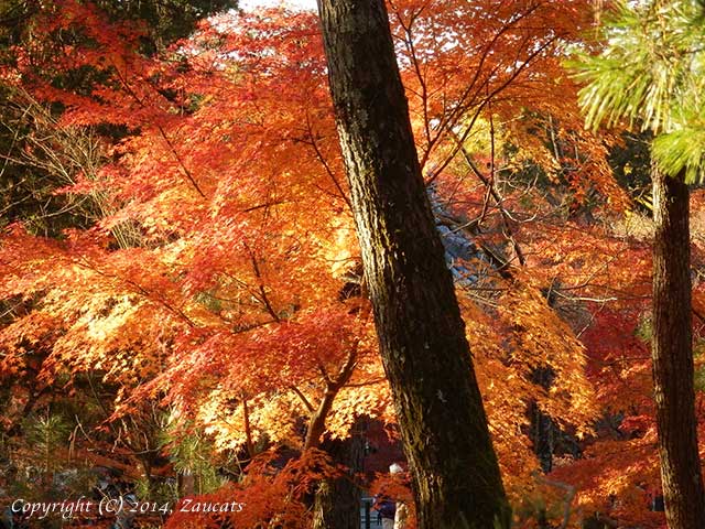 nanzenji61.jpg