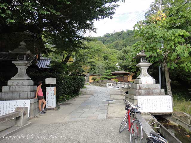 otoyojinja.jpg