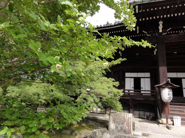 shinnyodo351.jpg