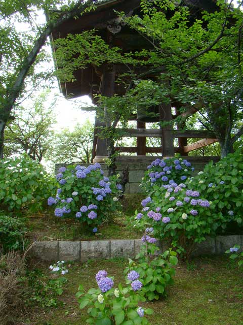 shinnyodo351.jpg