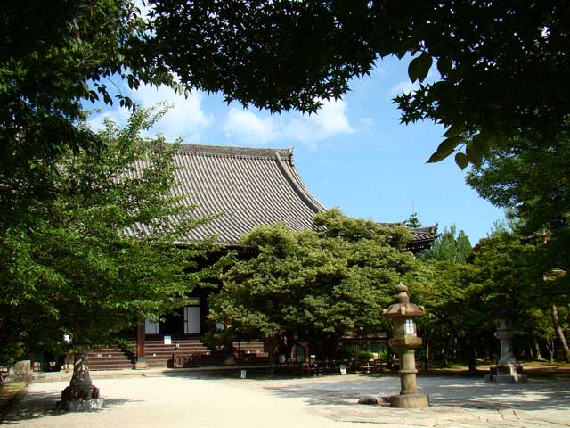 shinnyodo351.jpg